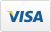 Pay by Visa icon